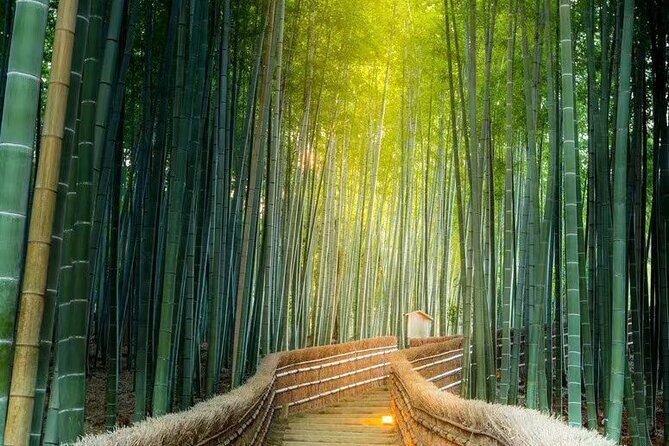 Arashiyama, SanzenIn and Bamboo Forest Day Tour from Kyoto/Osaka - Final Thoughts