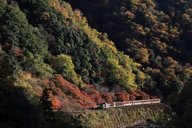Arashiyama Walking Tour with Optional Sagano Romantic Train Ride - Key Points
