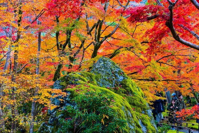 Arashiyama Walking Tour with Optional Sagano Romantic Train Ride - In-Depth Look at the Tour Experience