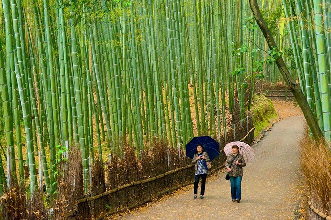 Arashiyama, Yasaka Shrine, Hanamikoji Todaiji Day Tour From Osaka - Final thoughts