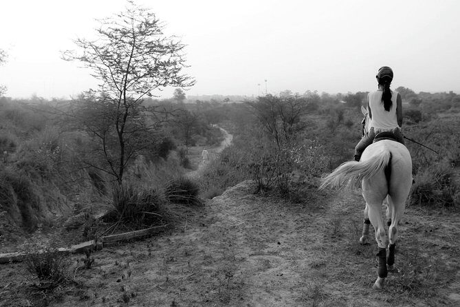Aravali Trail Experience( Jungle Safari Forest area)- Horseback Riding - What is the Aravali Trail Horseback Riding Experience?