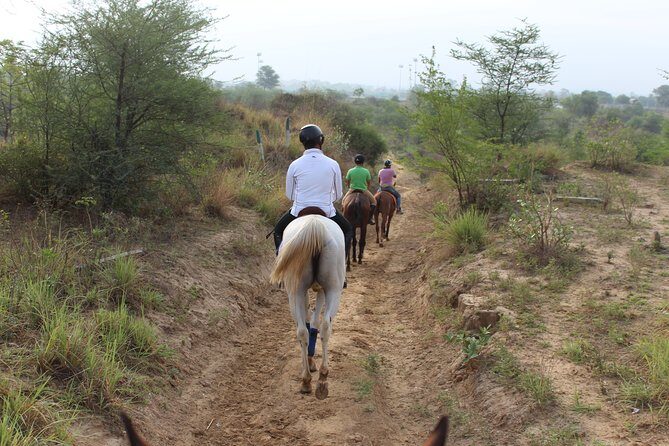 Aravali Trail Experience( Jungle Safari Forest area)- Horseback Riding - The Sum Up