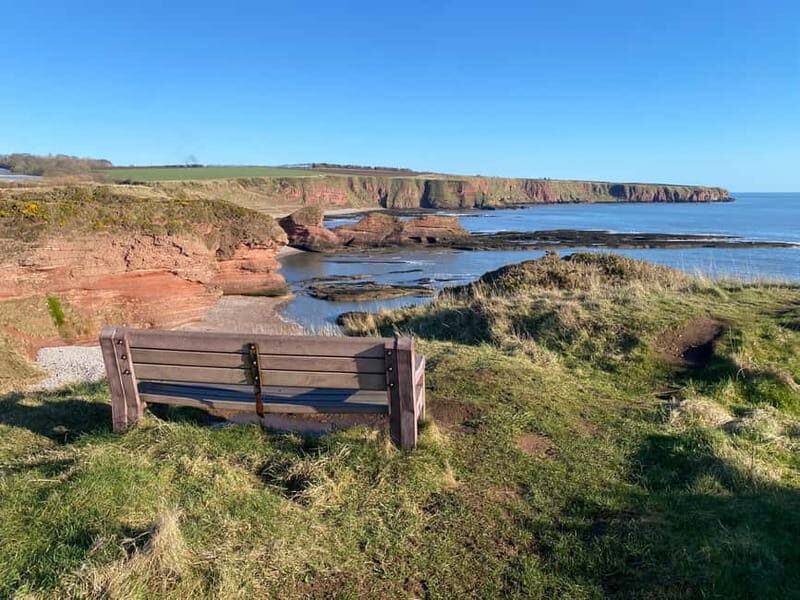 Arbroath: Seaton Cliffs Guided Walking Tour with Geologist - Key Points That Make the Tour Stand Out