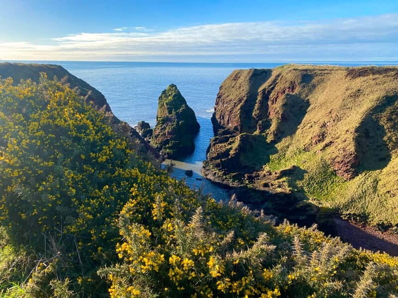 Arbroath: Seaton Cliffs Guided Walking Tour with Geologist - An In-Depth Look at the Experience