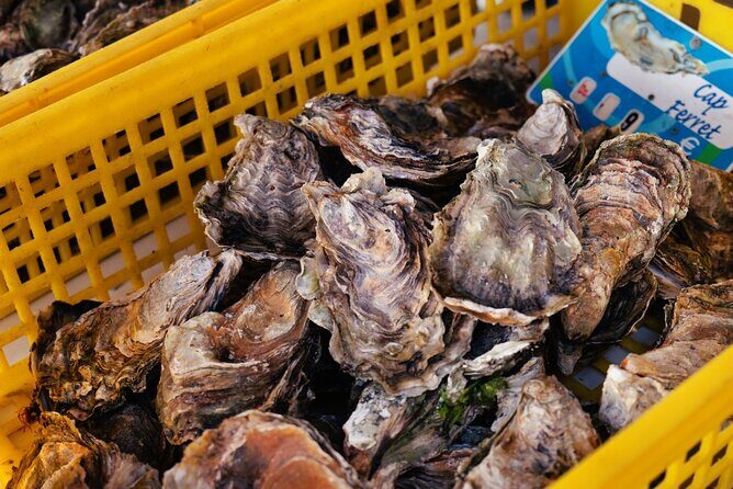 Arcachon Bay Full Day Trip from Bordeaux with lunch and Pyla Dune - Final Thoughts
