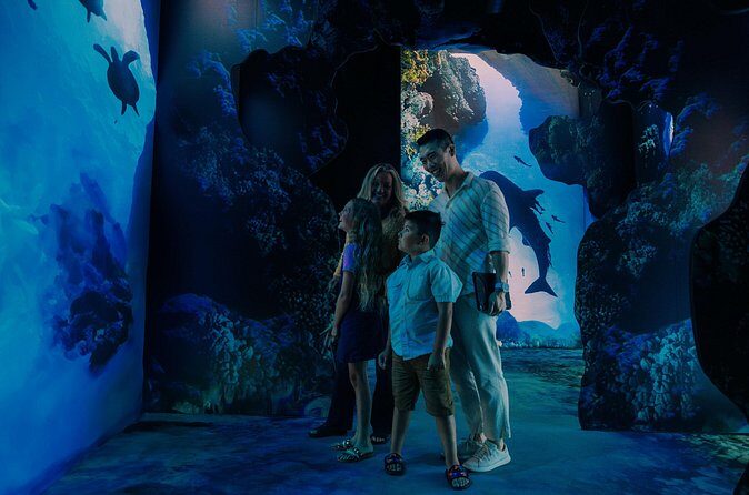 Arcadia Earth Toronto - An Immersive Art Experience - The Experience in Context