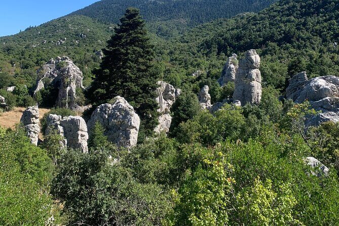 Arcadia experience, nature, people and culture - FAQ