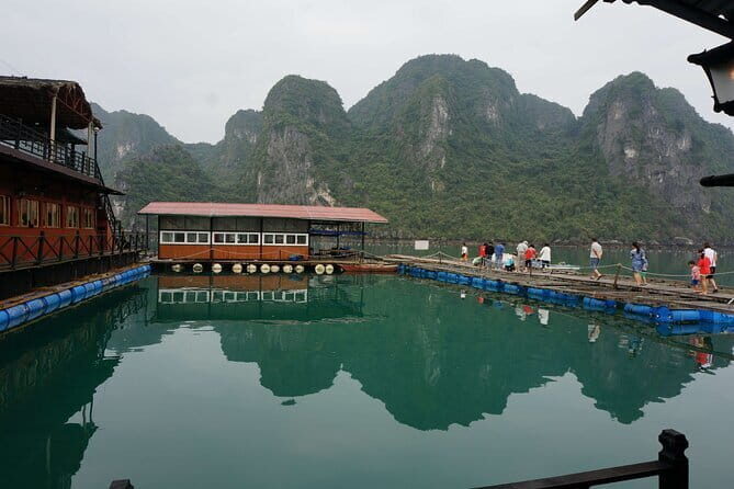 Arcady Cruise Halong Bay 2-day from Hanoi - FAQ