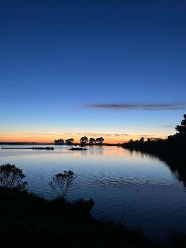 Arcata Wildlife Sanctuary: A Wildlife Walk Along Arcata Bay - Who Will Enjoy This Tour?