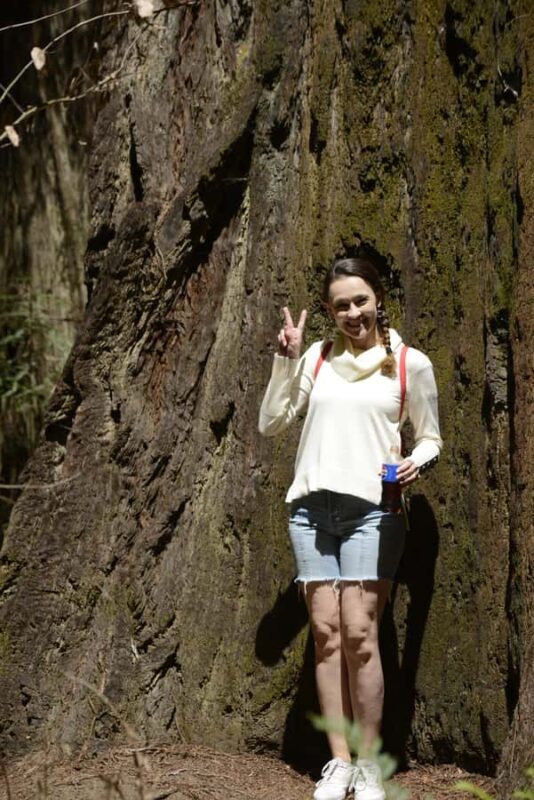 Arcata's Redwood Forest: Hike Through the Emerald Canopy - Discovering the Magic of Arcata’s Redwoods