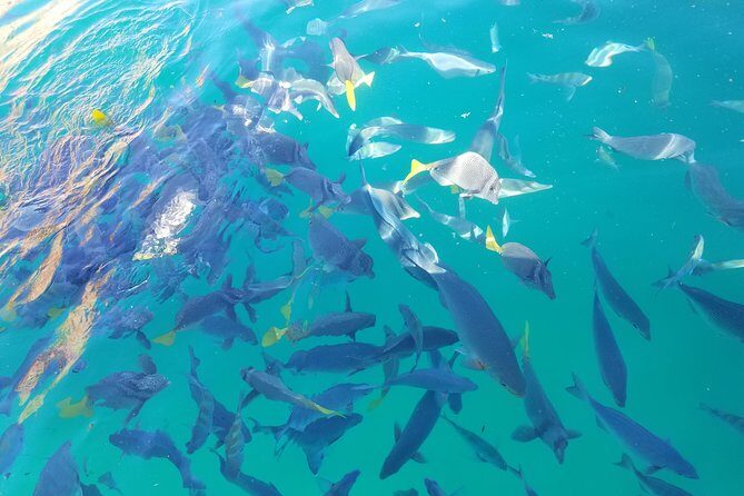 Arch Tour with Amazing Captain in Cabo San Lucas - An In-Depth Look at the Experience