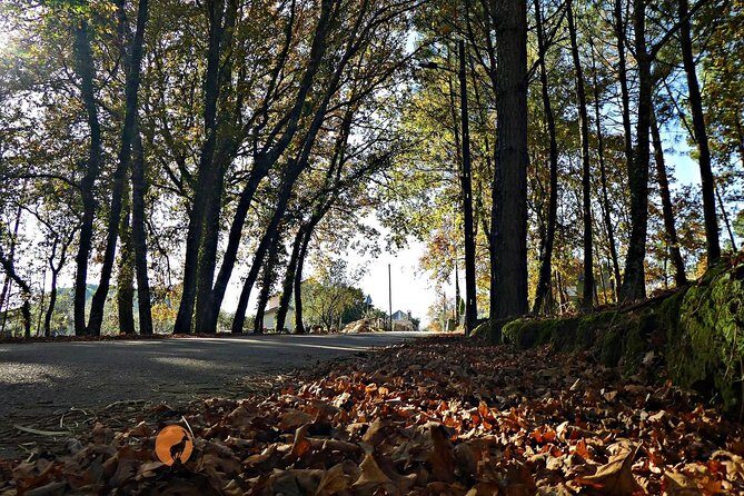 Archaeological Circuit of Fiais/Azenha and Cova da Moira - Authentic Experiences and Hidden Gems