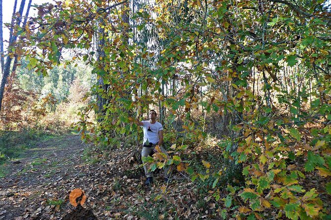 Archaeological Circuit of Fiais/Azenha and Cova da Moira - Final Thoughts