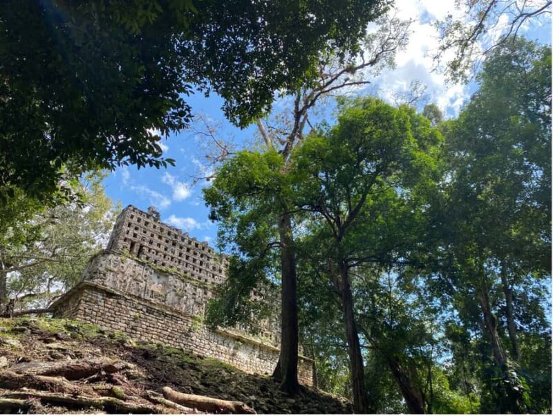 Archaeological Zones Yaxchilan & Bonampak - Diving Into the Details: What to Expect