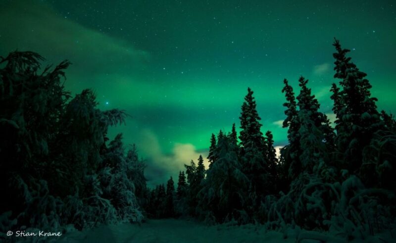 Arctic Adventure: Northern Lights Hunting with Snowmobiles - The Cozy Break
