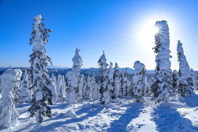 Arctic Circle Day Tour Adventure - The Sum Up: Who Will Love This Tour?