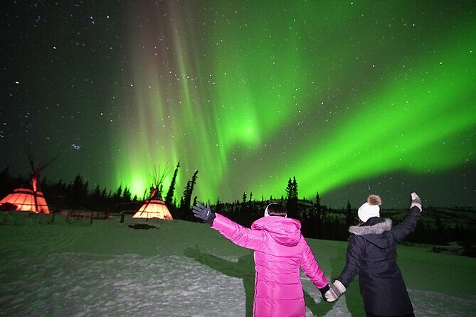 Arctic Day: Aurora Viewing Tour | late night - Pricing and Value