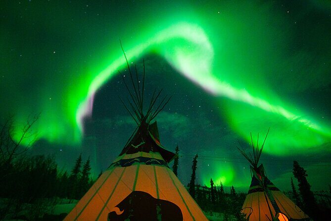 Arctic Day: Aurora Viewing Tour | late night - The Sum Up: Who Should Consider This Tour?
