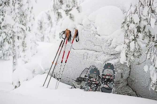 Arctic Day with Ice Fishing and Floating - Frequently Asked Questions (FAQ)