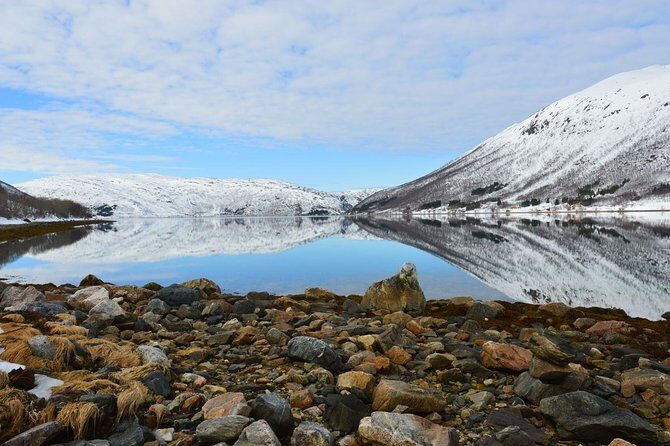 Arctic fjord and Landscape Tour - Frequently Asked Questions