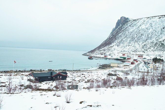 Arctic Fjord Sightseeing by Minibus - Who Will Love This Tour?