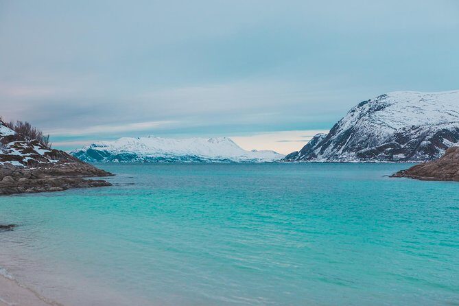 Arctic Fjord Sightseeing by Minibus - Frequently Asked Questions
