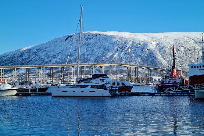 Arctic Fjordcruise & Safari in Tromso with Luxury Catamaran - Final Thoughts