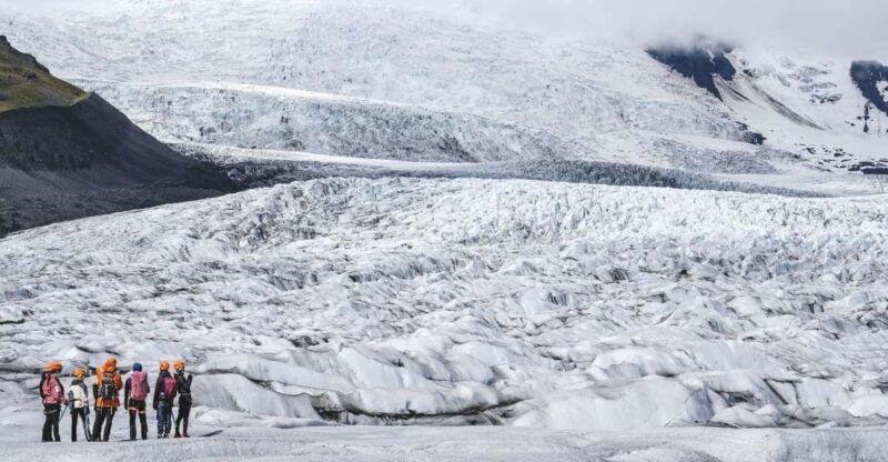 Arctic Glacier Hike - Vatnajokull Glacier 4 hrs - What the Reviews Reveal: Authentic Insights