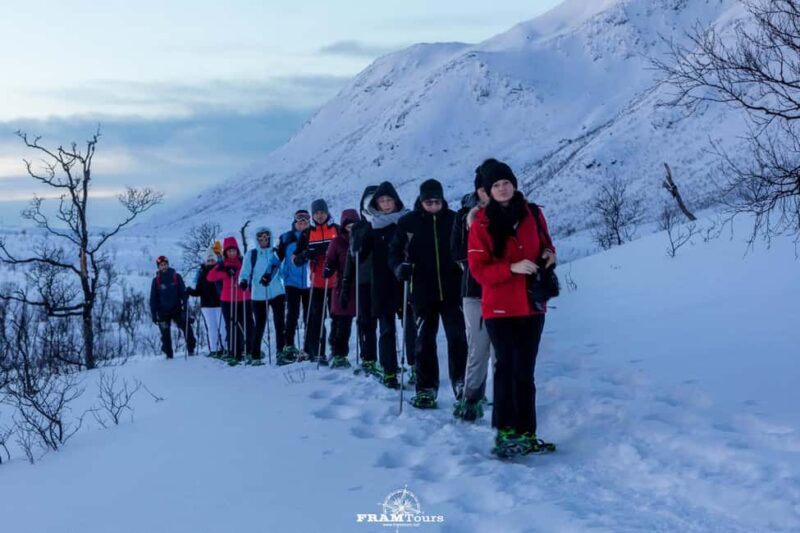Arctic hike on Kvaløya Island with drinks and snacks - Why This Tour Is Worth Considering
