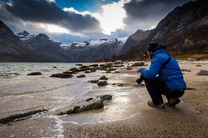 Arctic Nature Tour from Tromsø by minibus - A Deep Dive into the Arctic Nature Tour Experience