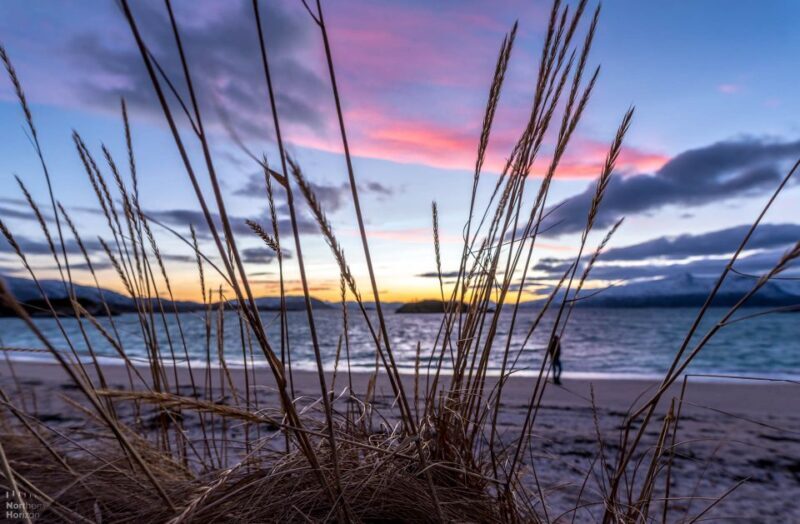 Arctic Nature Tour from Tromsø - An In-Depth Look at the Arctic Nature Tour
