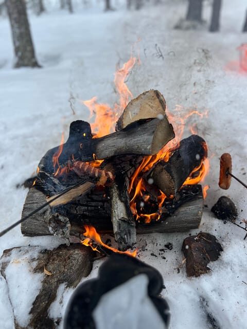Arctic Reindeer Farm Experience with Snowshoeing in the Wild - Authenticity and Guide Expertise