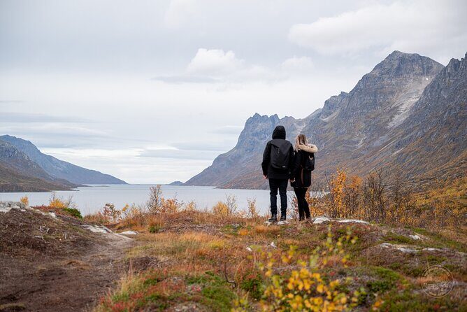 Arctic Roadtrip: fjords with scenic picnic | Private - An Authentic Arctic Escape: The Private Arctic Roadtrip with Scenic Picnic