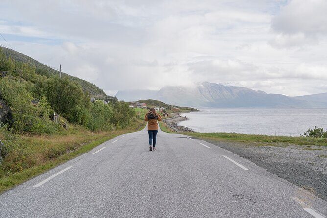 Arctic Roadtrip: fjords with scenic picnic | Private - The Scenic Picnic & Wildlife Encounters