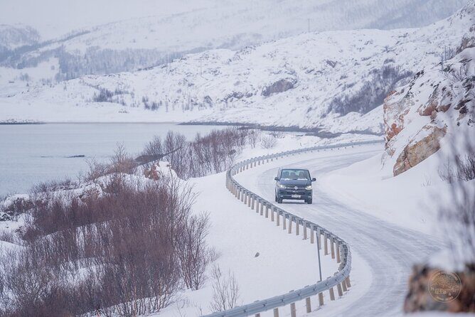 Arctic Roadtrip: fjords with scenic picnic | Private - Logistics and Practical Tips