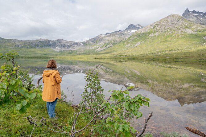 Arctic Roadtrip: fjords with scenic picnic | Private - The Sum Up: Who Is This Tour Best For?