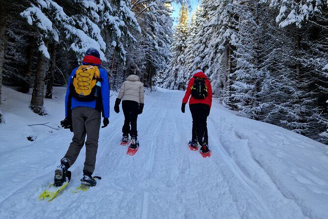 Arctic Snowshoe Hike in Norway - An In-Depth Look at the Arctic Snowshoe Hike