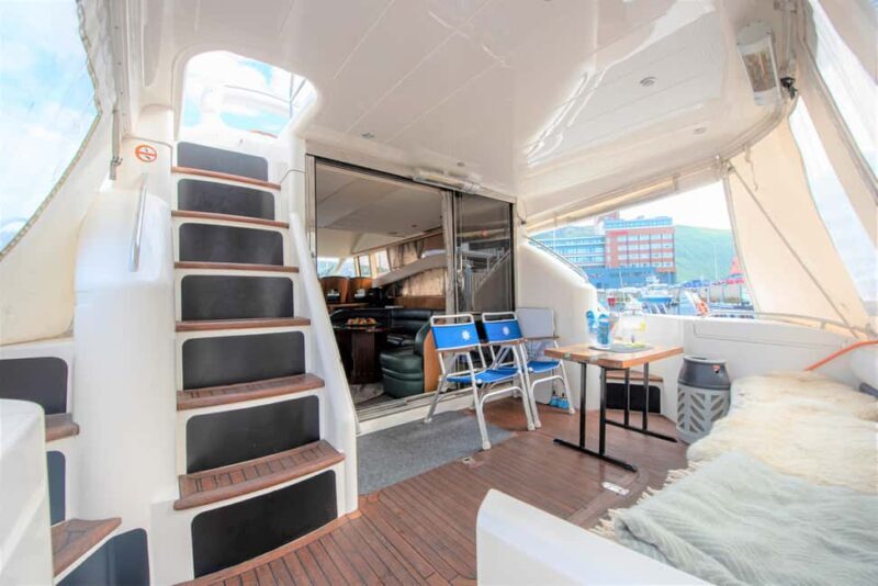 Arctic Whale Watching: Tromsø to Skjervøy in Comfort - The Full Experience: What to Expect