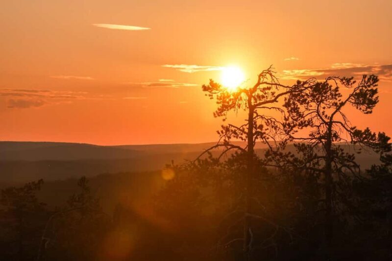 Arctic Wilderness Hike from Rovaniemi (Day & Evening) - Key Points