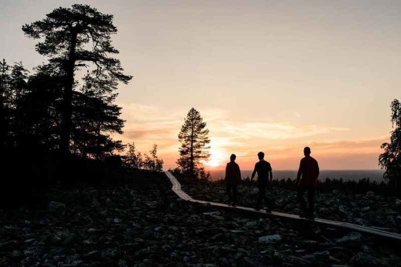 Arctic Wilderness Hike from Rovaniemi (Day & Evening) - Frequently Asked Questions