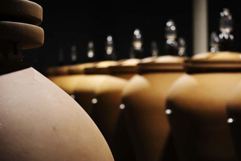 Ardèche: Cellar tour and tasting of our range - Key Points