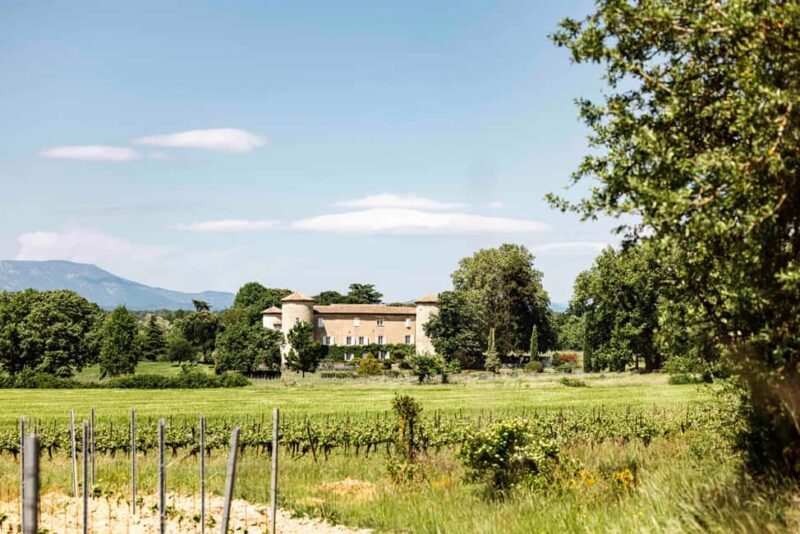 Ardèche: guided tour of our wine estate with tasting - An In-Depth Look at the Experience
