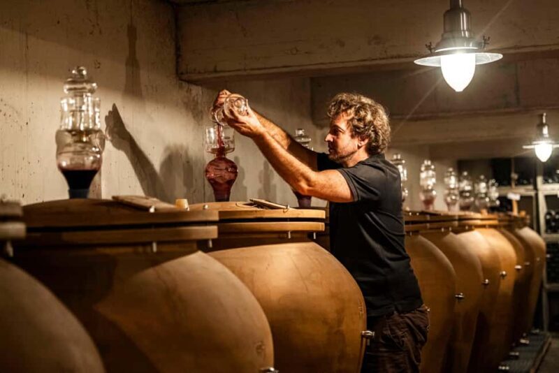 Ardèche: guided tour of our wine estate with tasting - FAQs