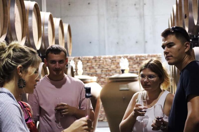 Ardèche: Wine workshop at Domaine les Amoureuses - Review of the Ardèche: Wine Workshop at Domaine les Amoureuses