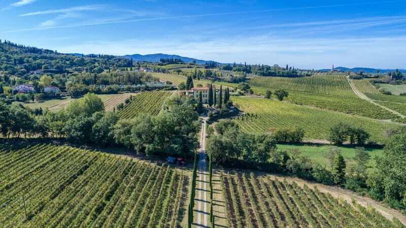 Arezzo Experience: Winery Tour and Wine Tasting - FAQ