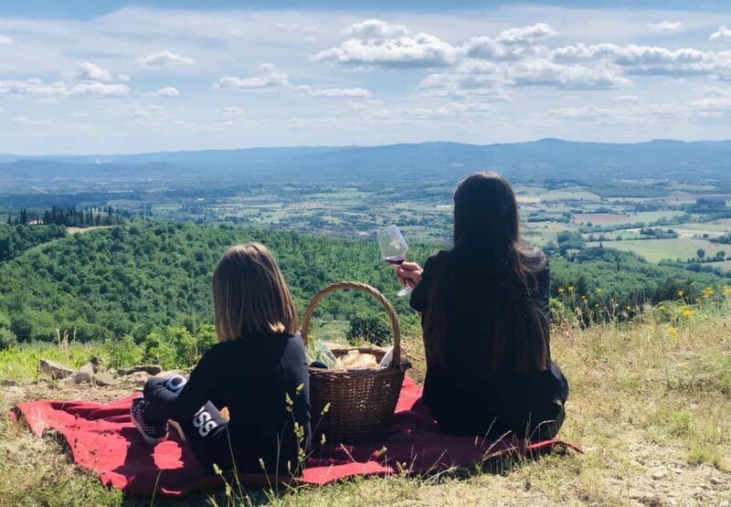 Arezzo: Tuscan Vineyard Picnic with Wine and Local Food - A Relaxing Taste of Tuscany in a Historic Vineyard
