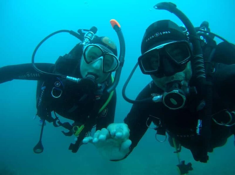 Argelès-sur-Mer : first dive in the Marine Natural Park - Key Points