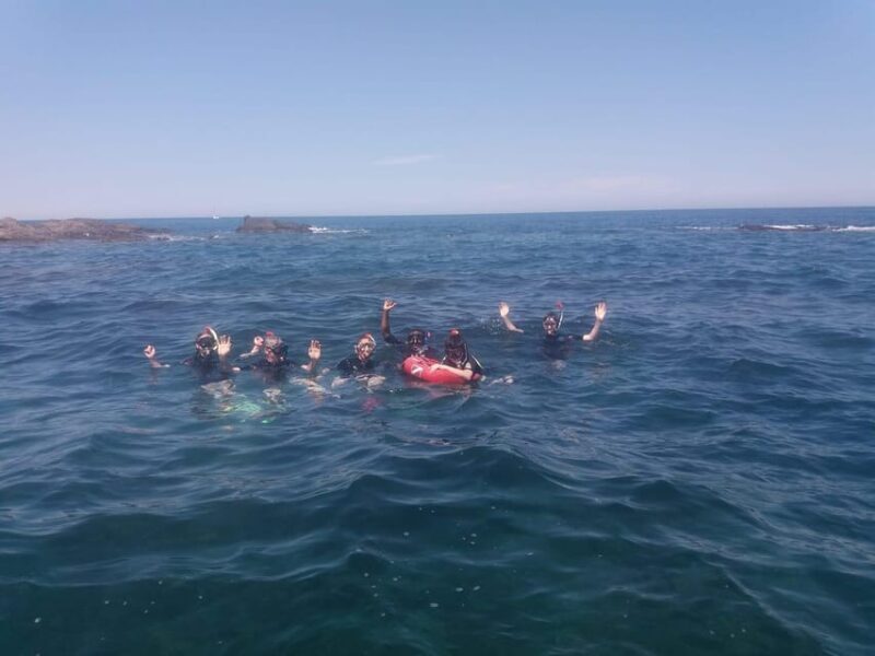 Argelès-sur-Mer: snorkeling into the Marine Natural Park - What to Expect from the Snorkeling Tour
