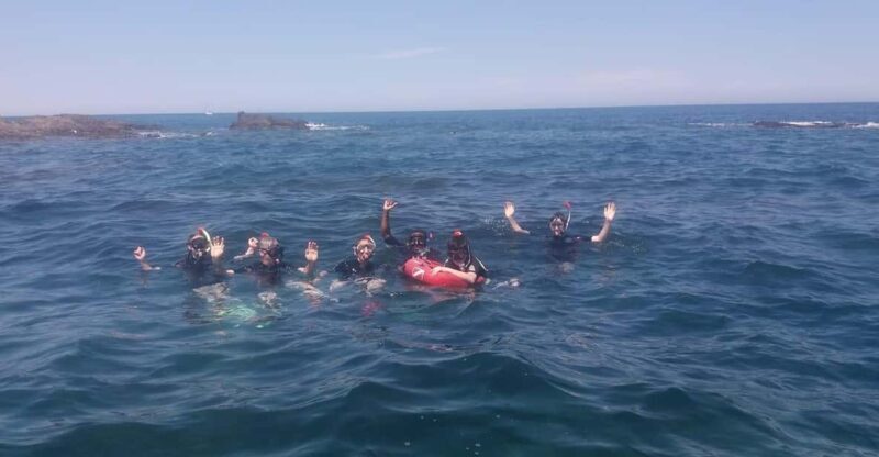 Argelès-sur-Mer: snorkeling into the Marine Natural Park - Value and Considerations