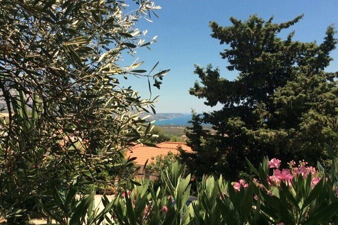 Argostoli and Beyond: A Journey through Villages - Key Points